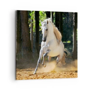 Cuadro sobre lienzo - Impresión de Imagen - Como en una novela de fantasía - 50x50 cm