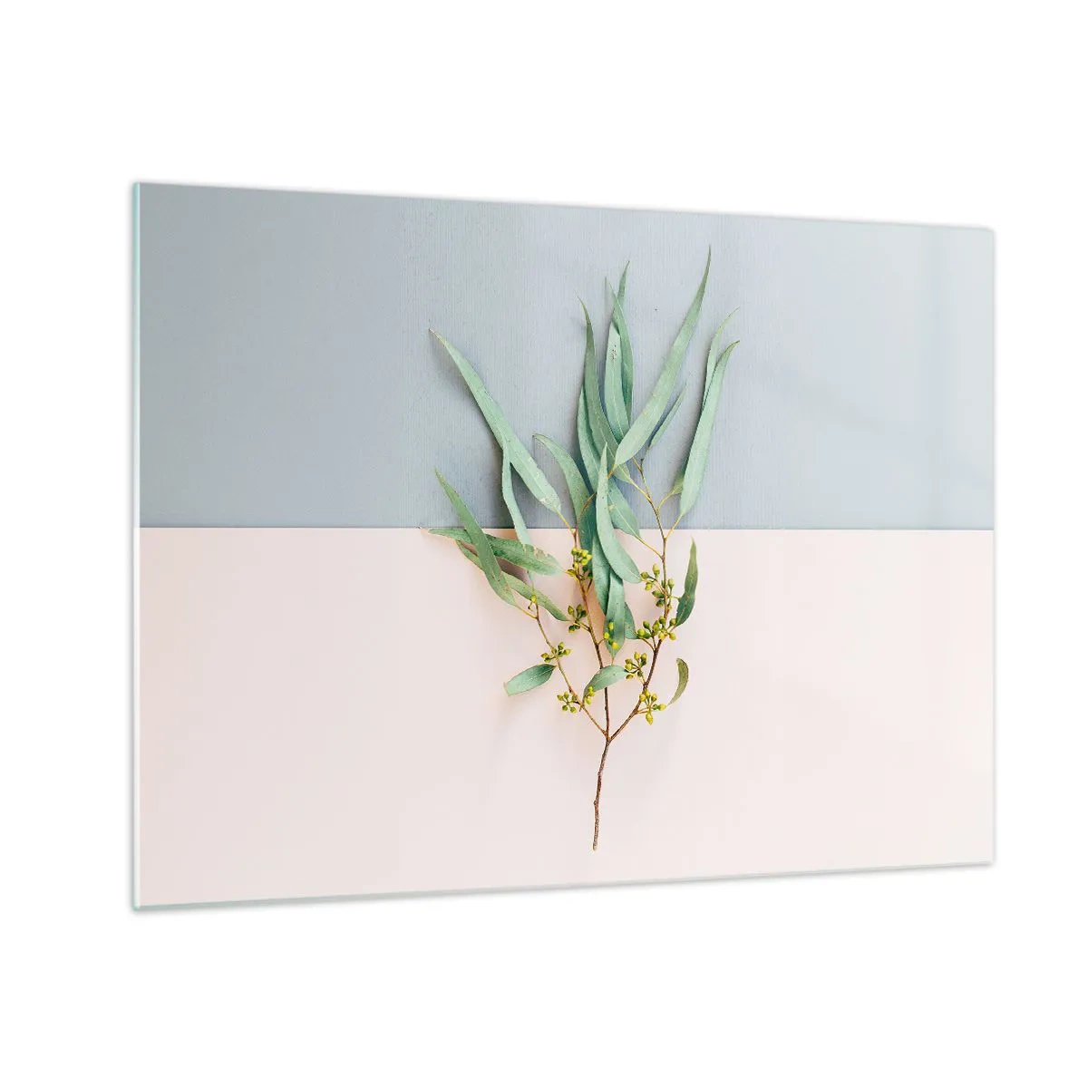 Cuadro sobre vidrio - Impresiones sobre Vidrio - Una ramita de eucalipto sobre un fondo pastel. - 70x50cm - La sutileza del pastel - Decoración de pared moderna para salón y dormitorio ARTTOR