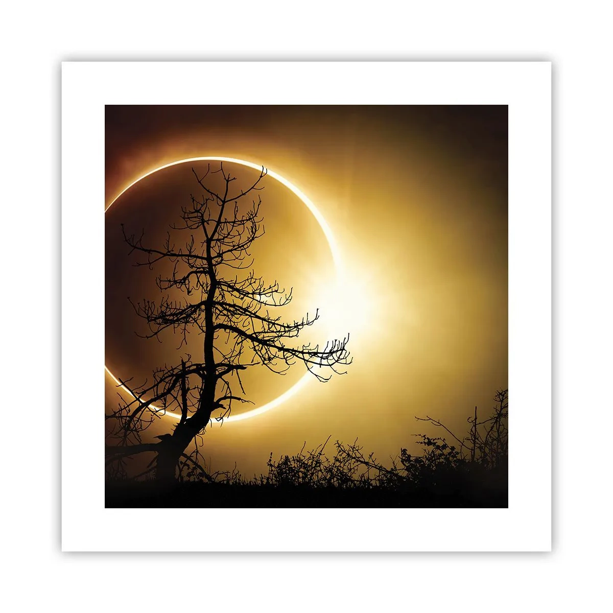 Póster - Eclipse total - 40x40 cm