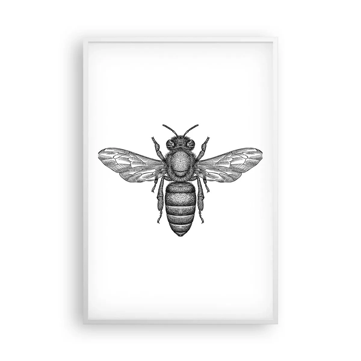 Póster en marco blanco - Retrato de insecto - 61x91 cm