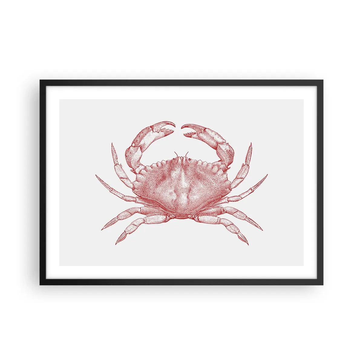 Póster en marco negro - Dibujo de un cangrejo en tono rojo. - 70x50cm - El explorador de las rocas - Decoración de pared moderna para salón y dormitorio ARTTOR