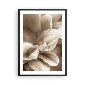 Póster en marco negro - Un primer plano de delicados pétalos de flores en tonos sepia. - 50x70cm - Suave como una sonrisa - Decoración de pared moderna para salón y dormitorio ARTTOR