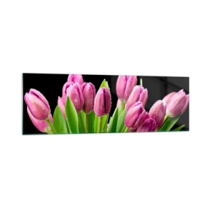 Cuadro sobre vidrio - Impresiones sobre Vidrio - Tulipanes rosados con gotas de rocío sobre un fondo negro - 160x50cm - La alegría de la primavera - Decoración de pared moderna para salón y dormitorio ARTTOR