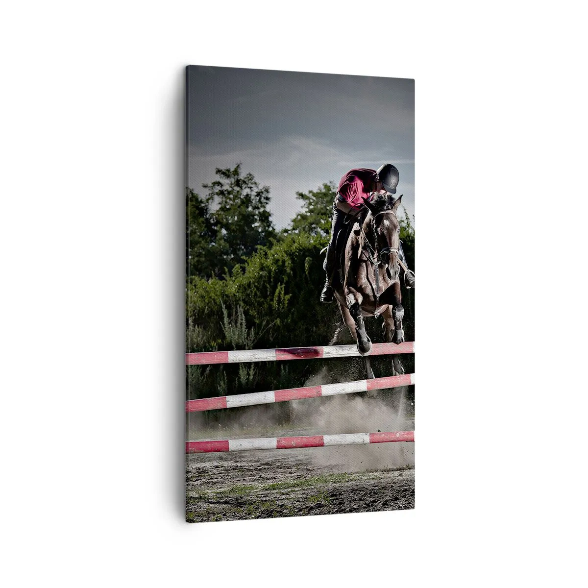 Cuadro sobre lienzo - Impresión de Imagen - Juntos por la victoria - 45x80 cm