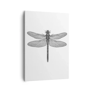 Cuadro sobre lienzo - Impresión de Imagen - Dibujo en blanco y negro de una libélula sobre un fondo blanco en estilo minimalista. - 50x70cm - Precisión de la naturaleza - Decoración de pared moderna para salón y dormitorio ARTTOR