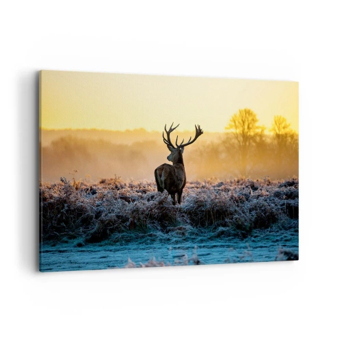 Cuadro sobre lienzo - Impresión de Imagen - Un ciervo en un claro helado al amanecer. - 120x80cm - Coronado en sus propios dominios - Decoración de pared moderna para salón y dormitorio ARTTOR