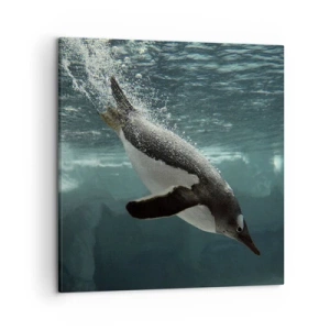 Cuadro sobre lienzo - Impresión de Imagen - Bienvenido a mi mundo - 50x50 cm