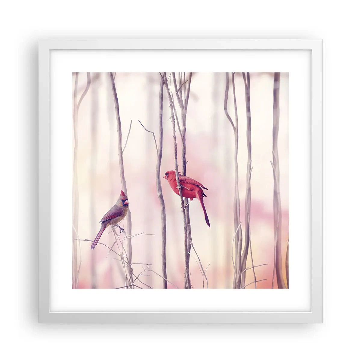 Póster en marco blanco - Historia de un bosque rosa - 40x40 cm