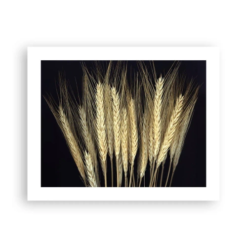 Póster - Magia rústica - 50x40 cm