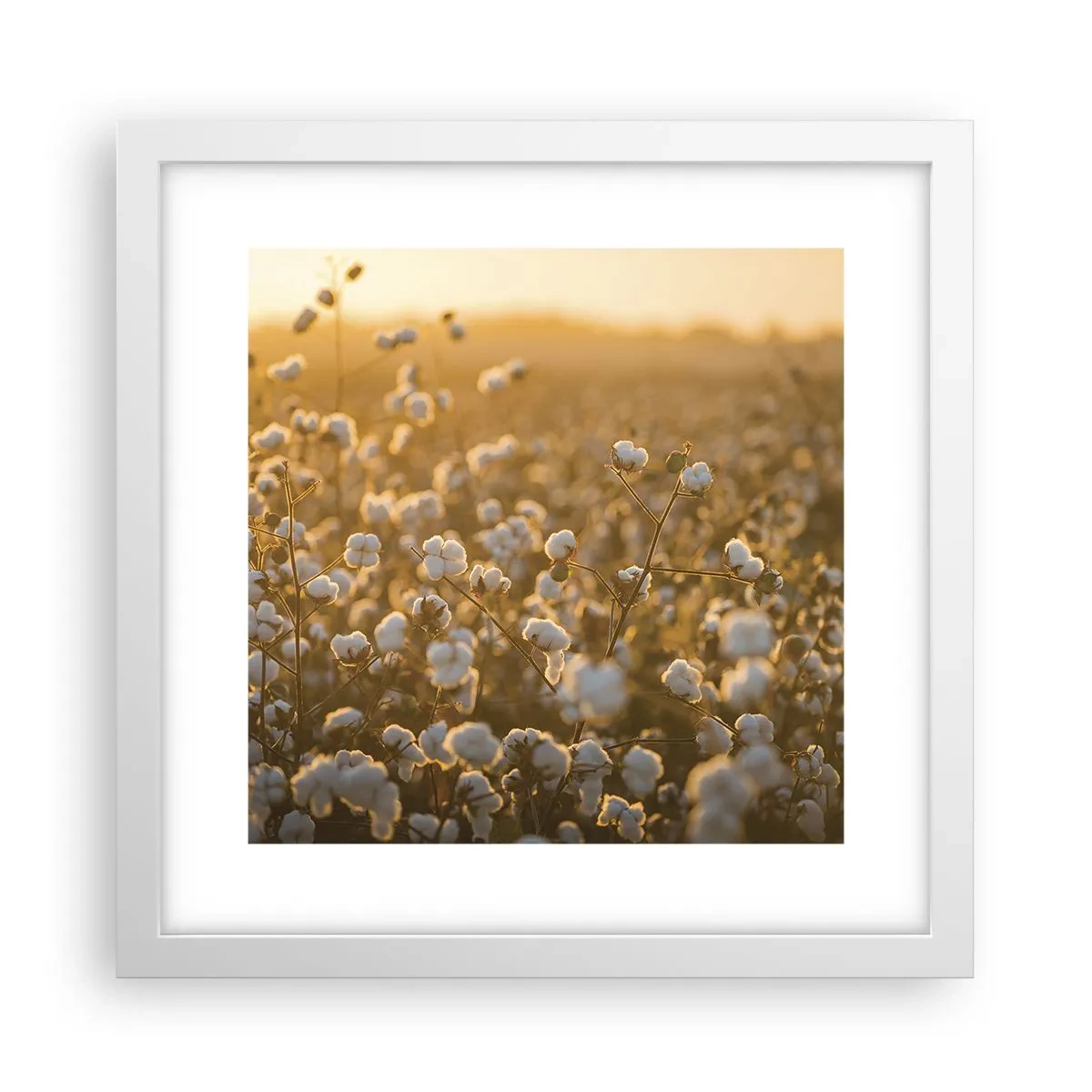 Póster en marco blanco - Un campo esponjoso - 30x30 cm