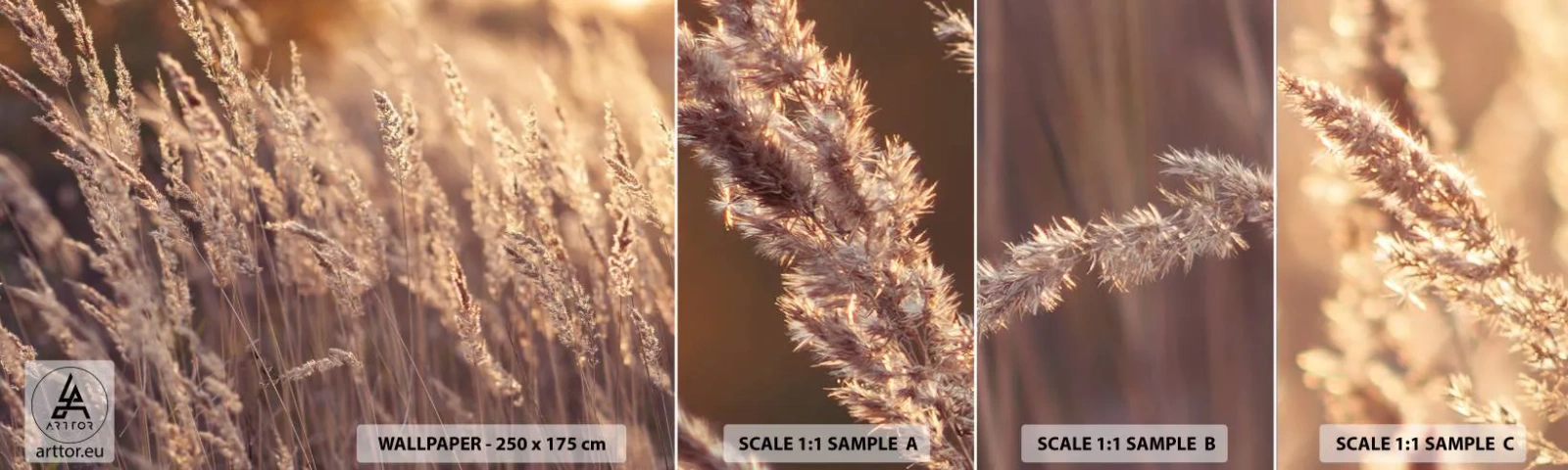 Muestra de fotomural autoadhesivo Deluxe Sticker - Listos para dar la bienvenida al otoño - Paisaje, Espigas de grano, Prado - 100x30 cm