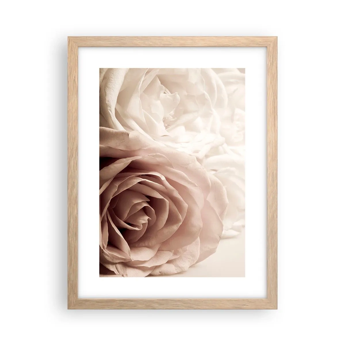 Póster en marco roble claro - En el corazón de una rosa - 30x40 cm