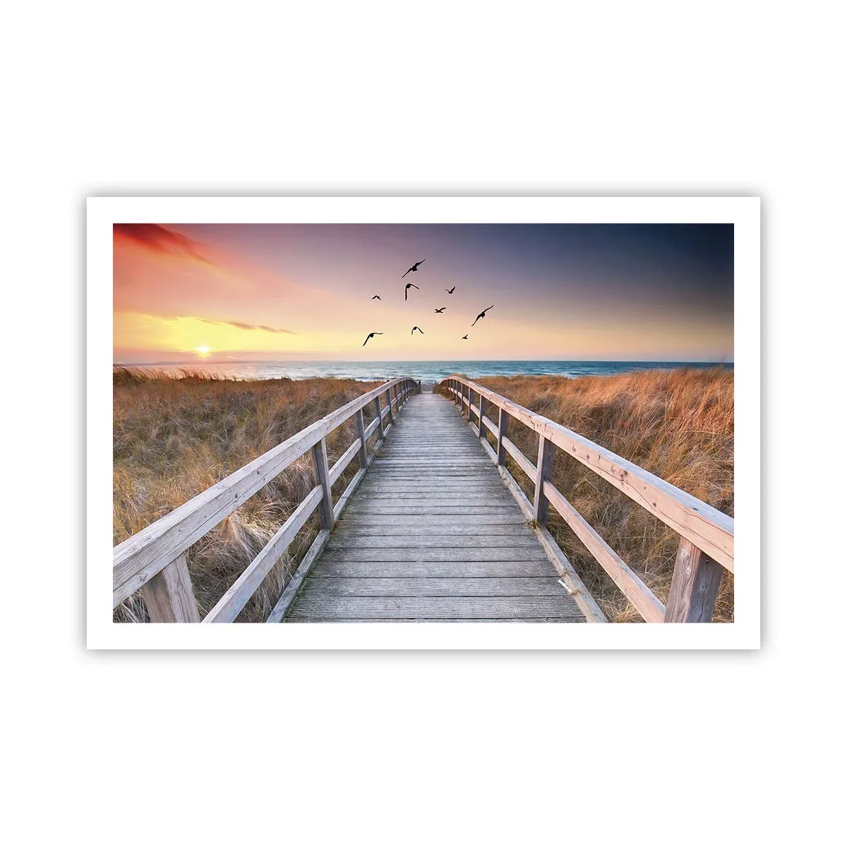 Póster - Camino a lo desconocido - 91x61 cm