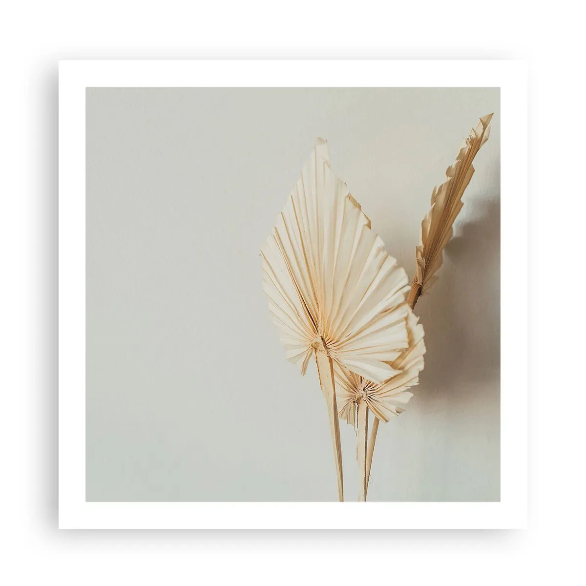Póster - Armonía y consuelo - 60x60 cm