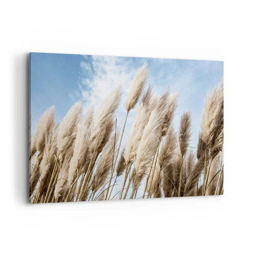 Cuadro sobre lienzo - Impresión de Imagen - Delicadas hierbas de la pampa contra un cielo azul con nubes ligeras - 120x80cm - Una caricia soleada y ventosa - Decoración de pared moderna para salón y dormitorio ARTTOR
