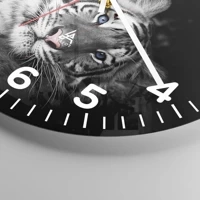 Esfera con numeración