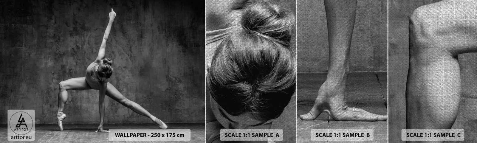 Muestra de fotomural Premium Canvas - Equilibrio perfecto - Gimnasia, Ballet, Bailar - 100x30 cm