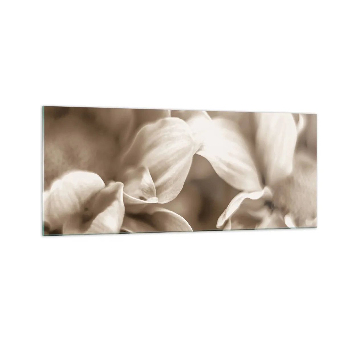 Cuadro sobre vidrio - Impresiones sobre Vidrio - Suave como una sonrisa - 100x40 cm