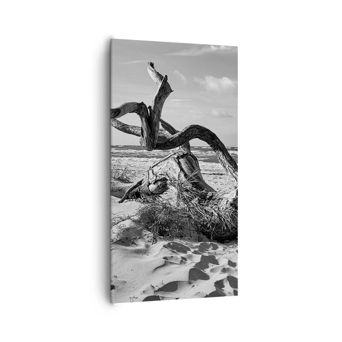 Cuadro sobre lienzo - Impresión de Imagen - Escultura marina - 65x120 cm