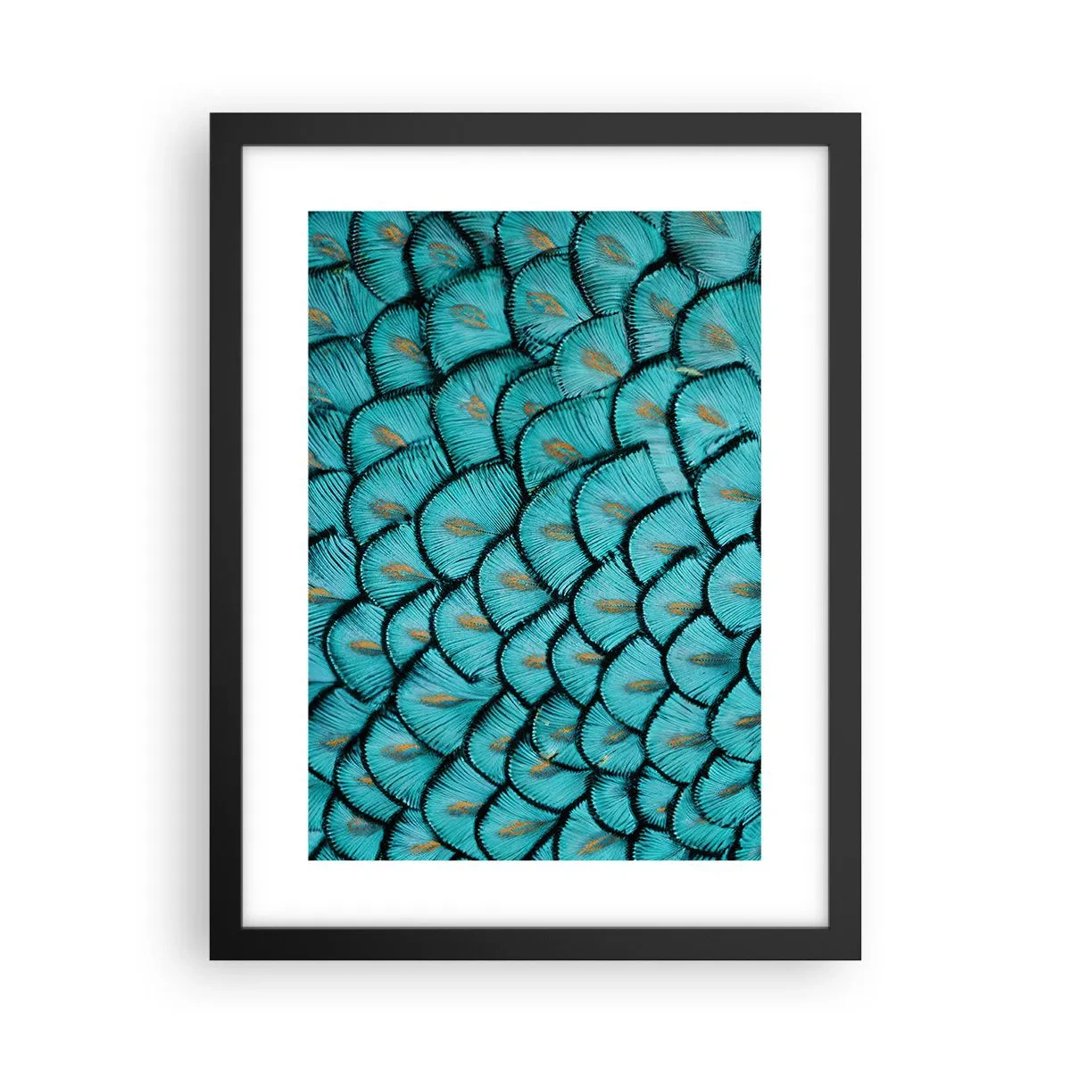 Póster en marco negro - La gran gala de las plumas - 30x40 cm