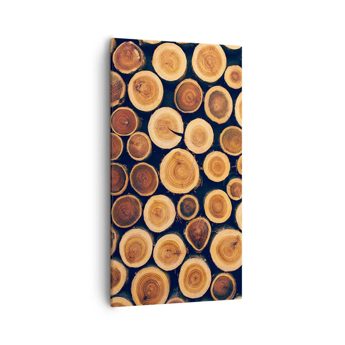 Cuadro sobre lienzo - Impresión de Imagen - ¿Qué edad tengo? - 55x100 cm