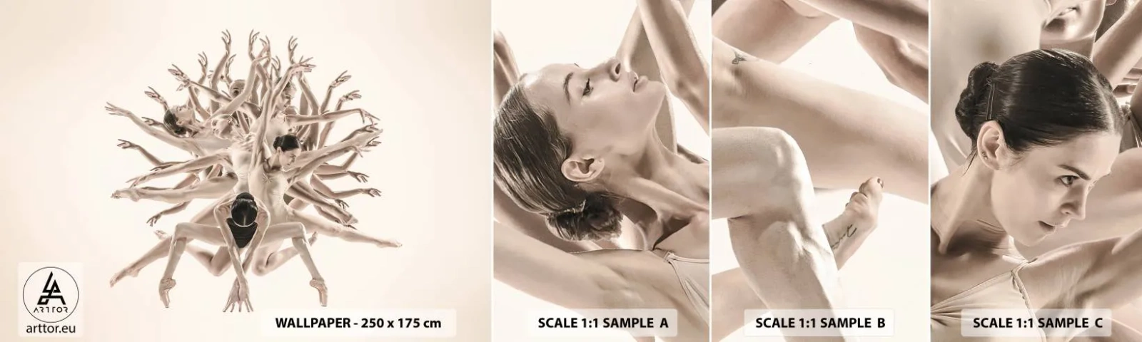 Muestra de fotomural autoadhesivo Deluxe Sticker - Floreciendo en la danza - Abstracción, Pedazo, Ballet - 100x30 cm