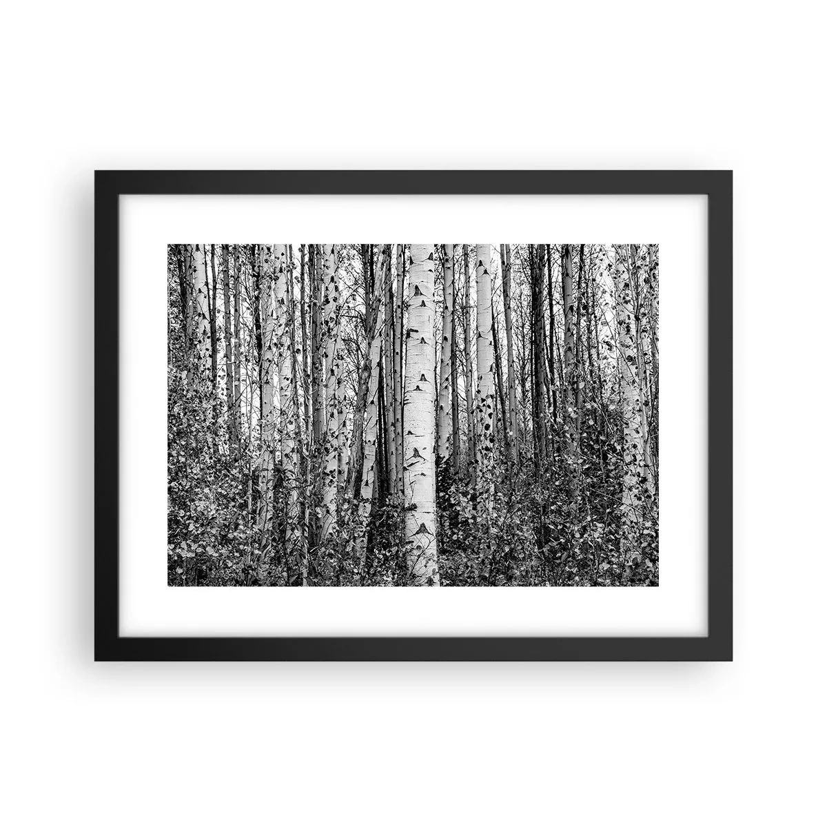 Póster en marco negro - Columnas de abedules - 40x30 cm