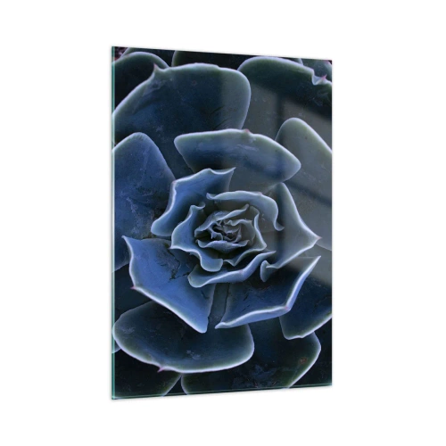 Cuadro sobre vidrio - Impresiones sobre Vidrio - Fotografía macro de una suculenta en tonos de azul frío. - 50x70cm - Flor del desierto - Decoración de pared moderna para salón y dormitorio ARTTOR