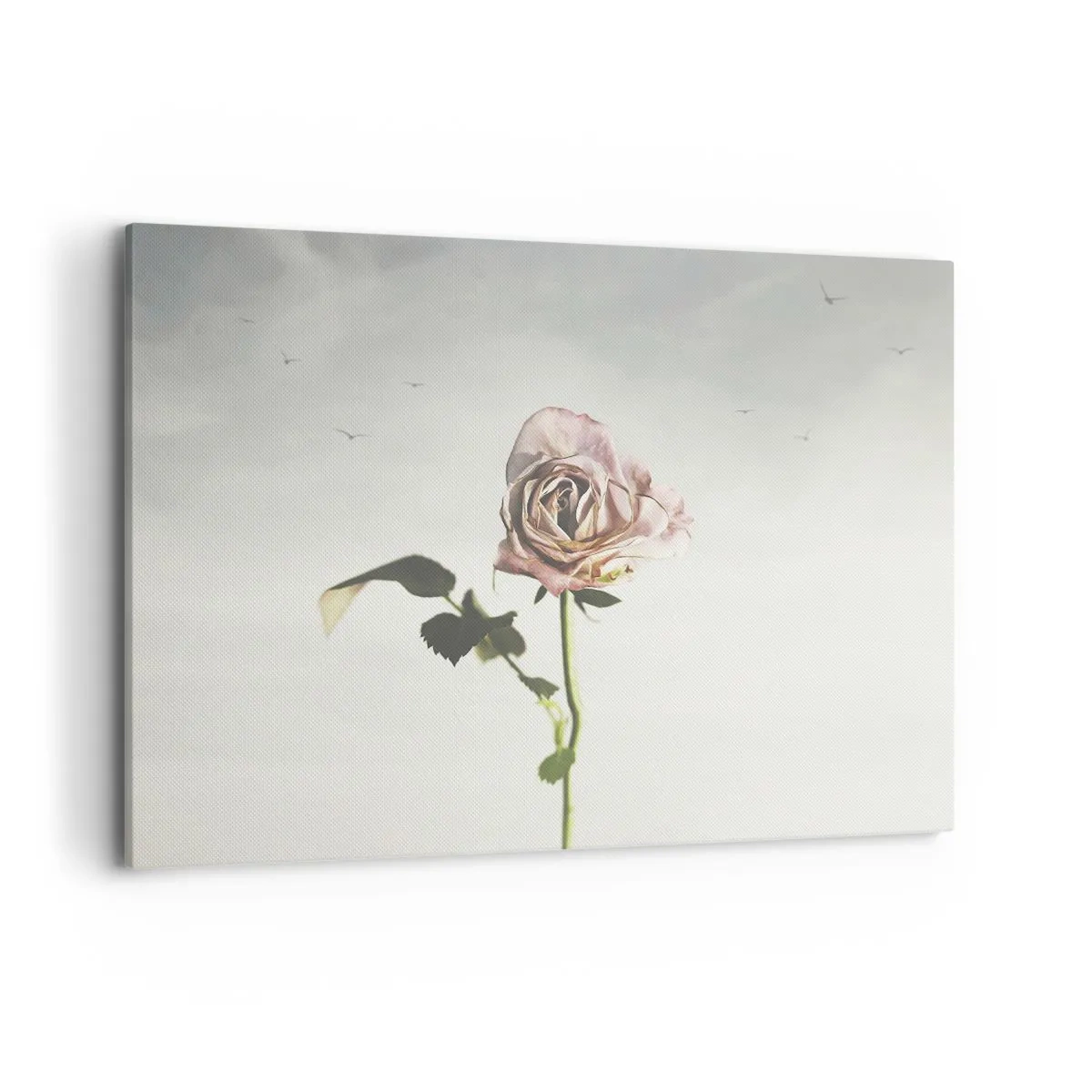 Cuadro sobre lienzo - Impresión de Imagen - Una delicada rosa contra un cielo brillante con pájaros volando. - 100x70cm - Bienvenida a la primavera - Decoración de pared moderna para salón y dormitorio ARTTOR