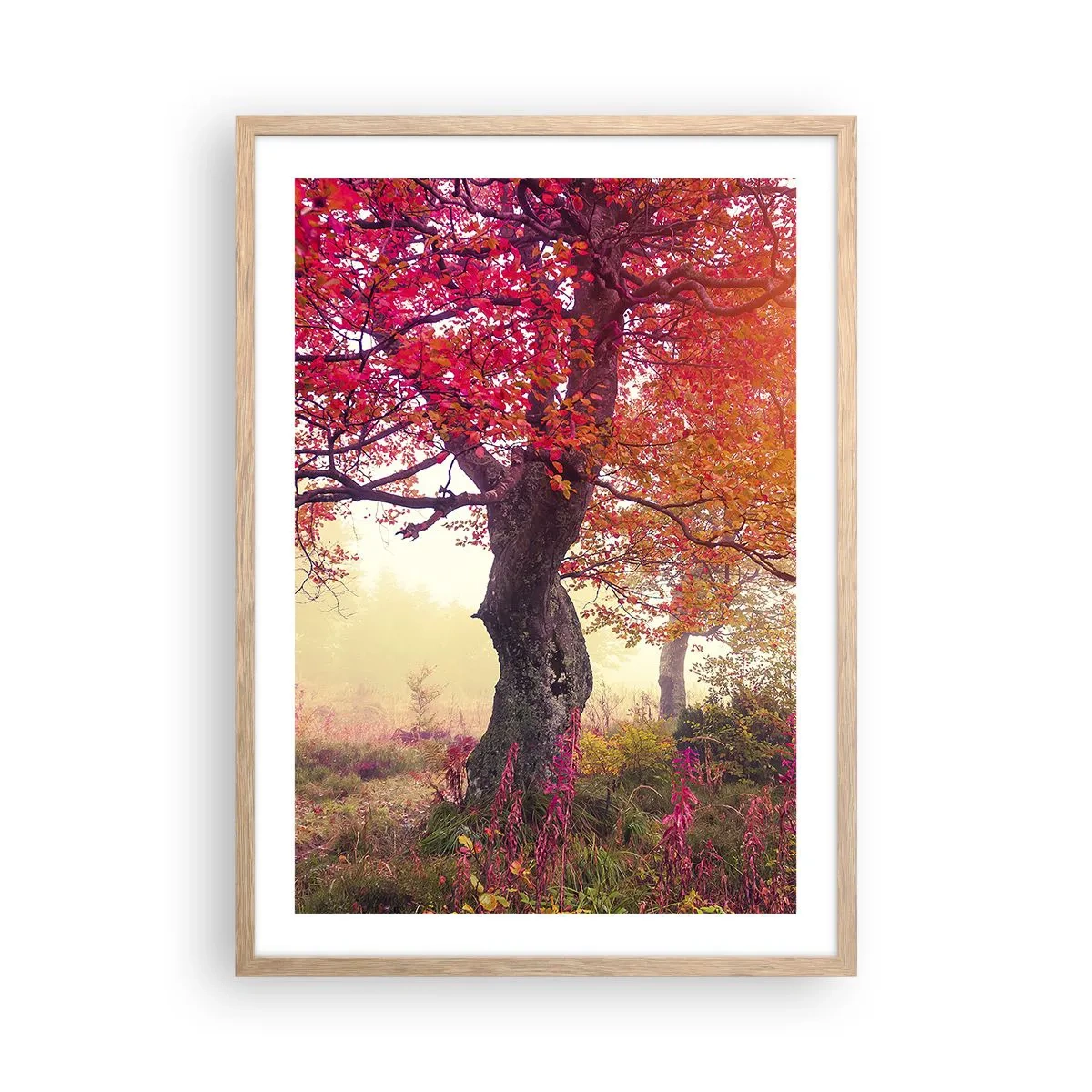 Póster en marco roble claro - Un frenesí de floración - 50x70 cm