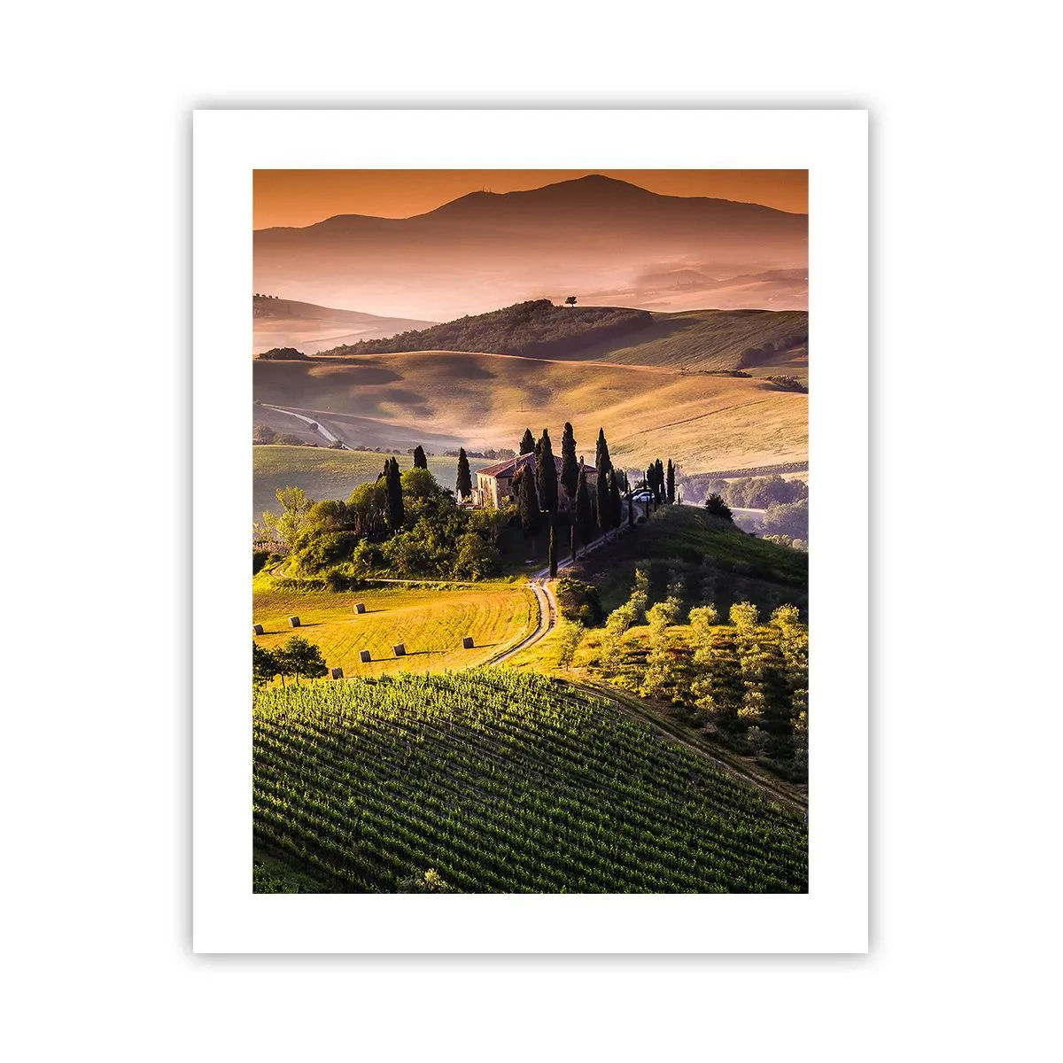Póster - Paisaje toscano - 40x50 cm