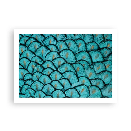 Póster - La gran gala de las plumas - 70x50 cm