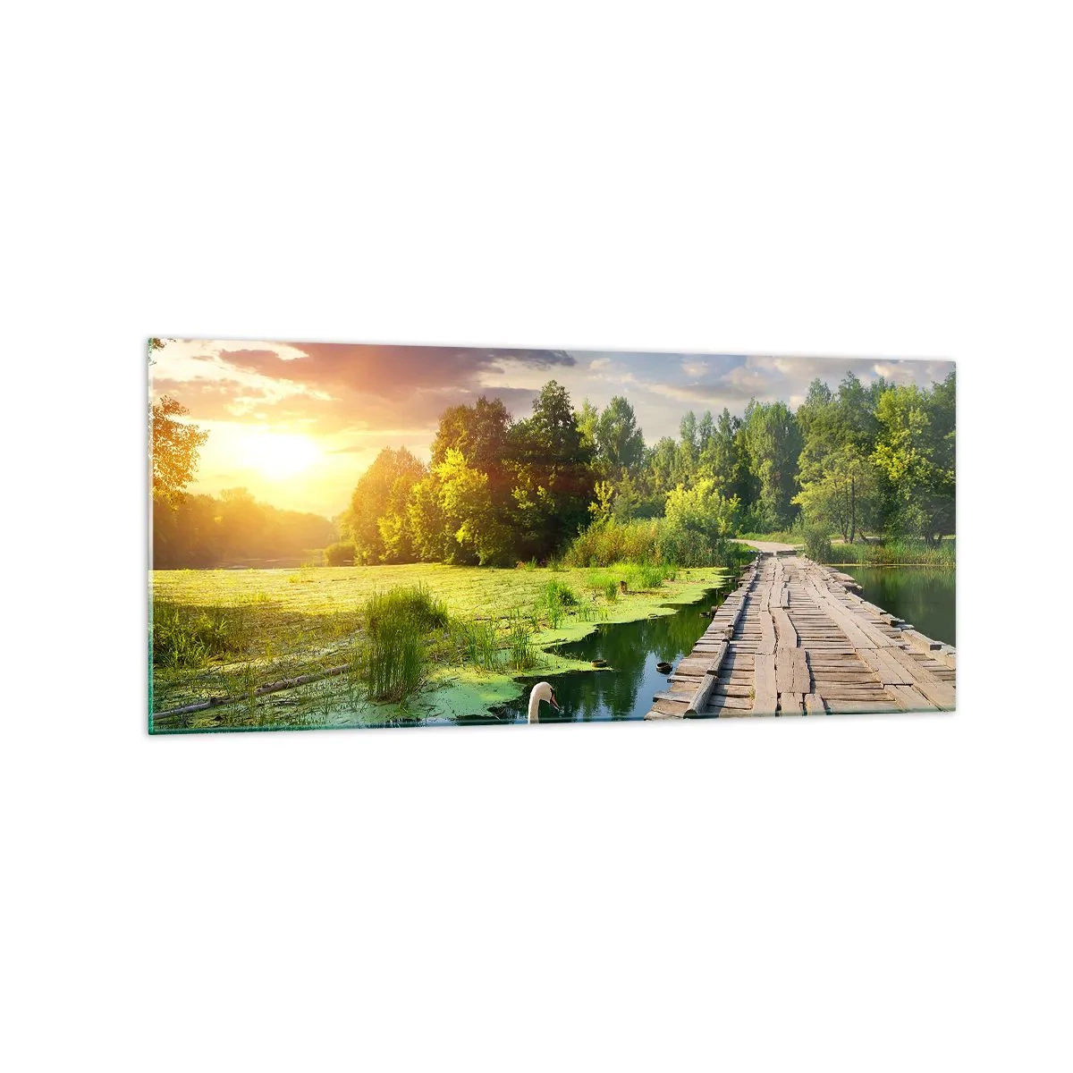 Cuadro sobre vidrio - Impresiones sobre Vidrio - Un paisaje pintoresco con un puente y un cisne. - 120x50cm - Verano, verano en todas partes - Decoración de pared moderna para salón y dormitorio ARTTOR