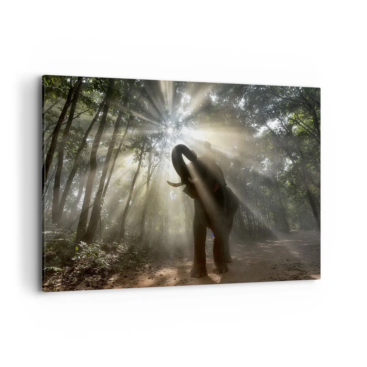 Cuadro sobre lienzo - Impresión de Imagen - Un elefante en el bosque rodeado de rayos de luz en la niebla de la mañana. - 120x80cm - Bajo una estrella de la suerte - Decoración de pared moderna para salón y dormitorio ARTTOR