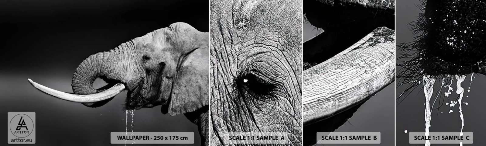 Muestra De Fotomural Standard Eco - Majestuoso - animales, Elefante, África - 100x30 cm