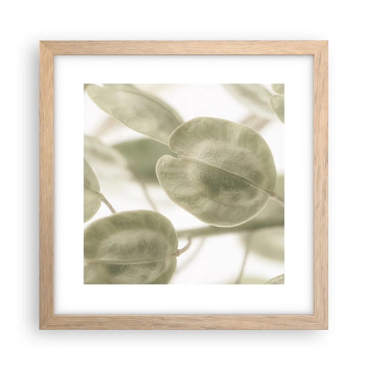 Póster en marco roble claro - Al principio de los tiempos había hojas... - 30x30 cm