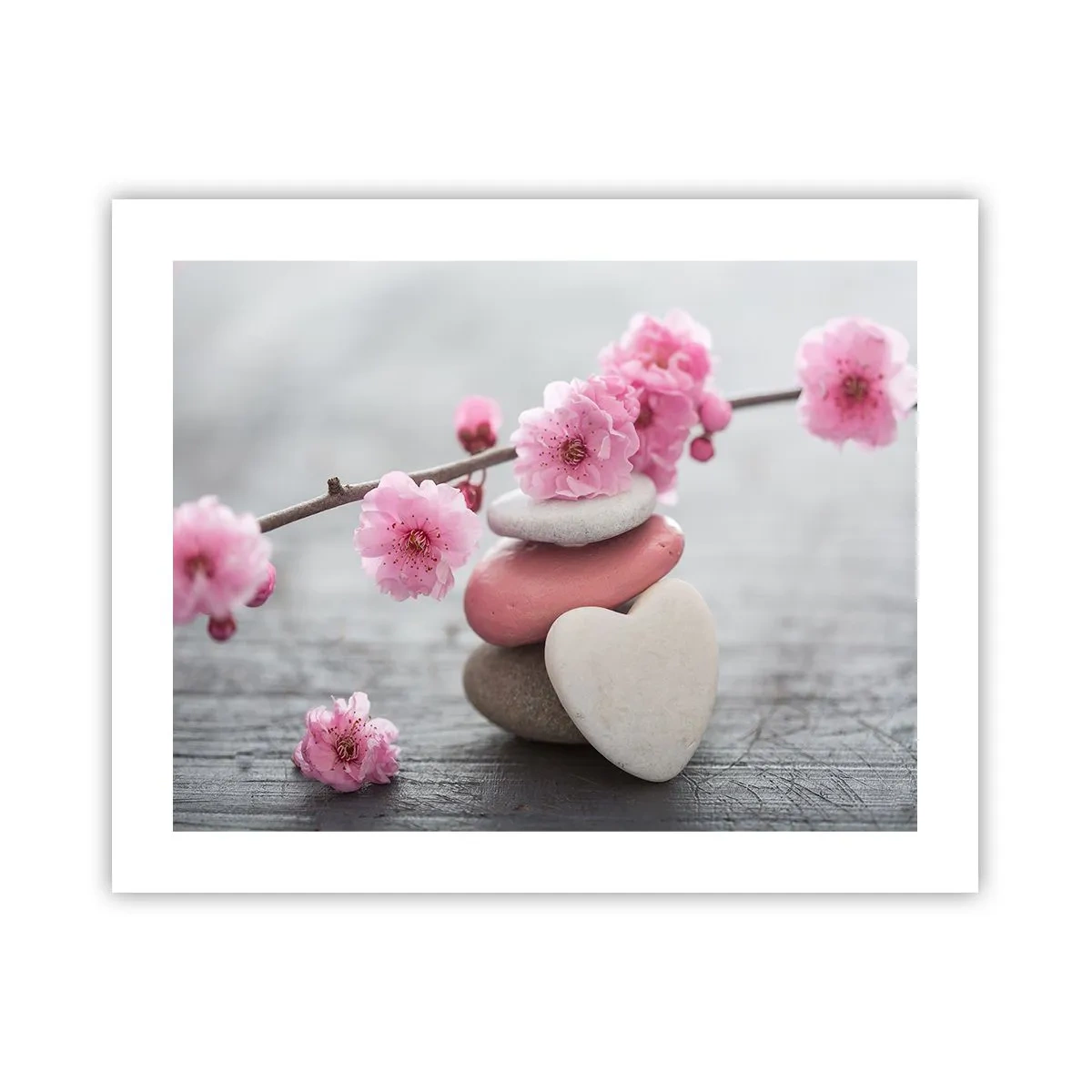 Póster - Felicidad con la flor del cerezo - 50x40 cm
