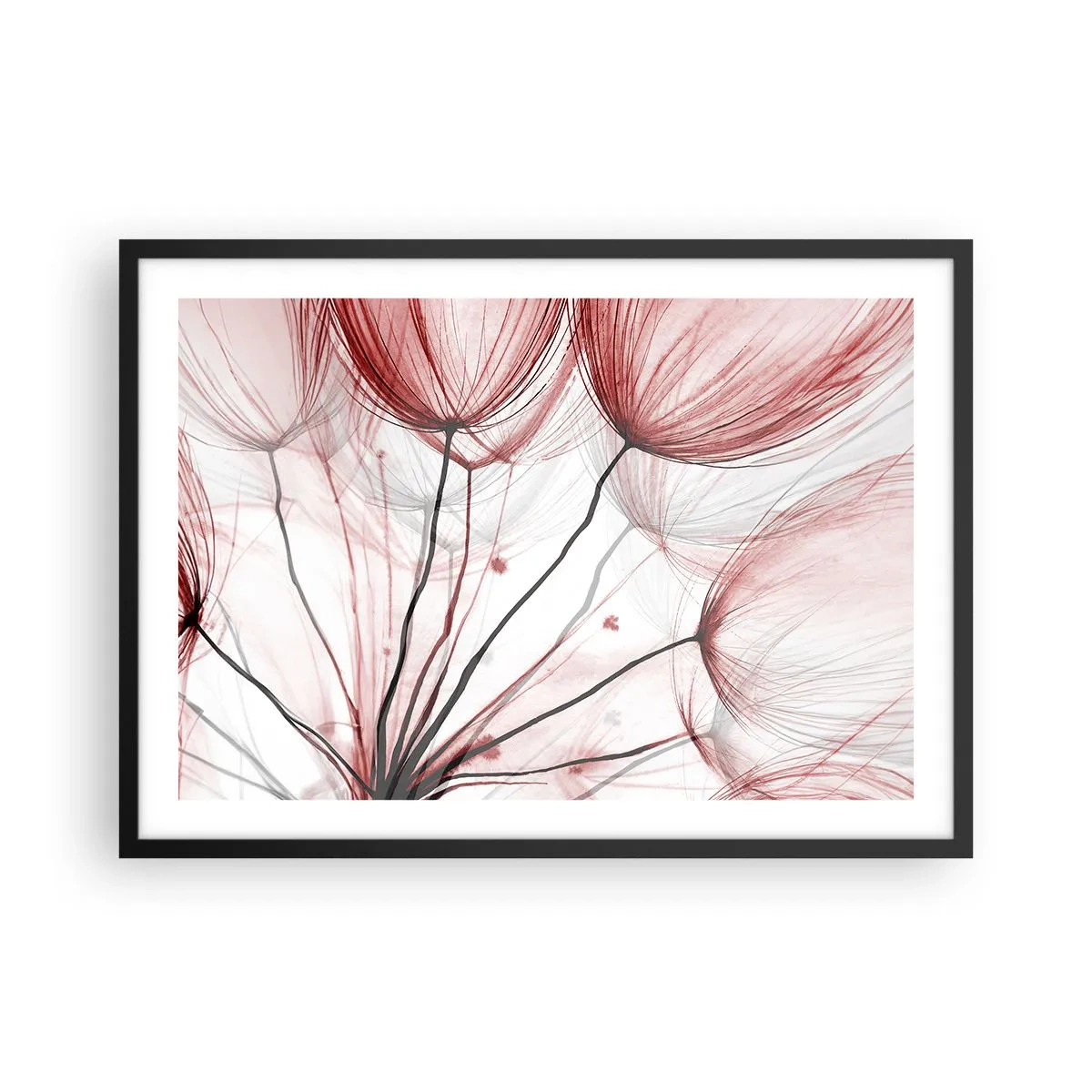 Póster en marco negro - Delicadas flores en tonos rojos sobre un fondo claro. - 70x50cm - Antes de partir - Decoración de pared moderna para salón y dormitorio ARTTOR