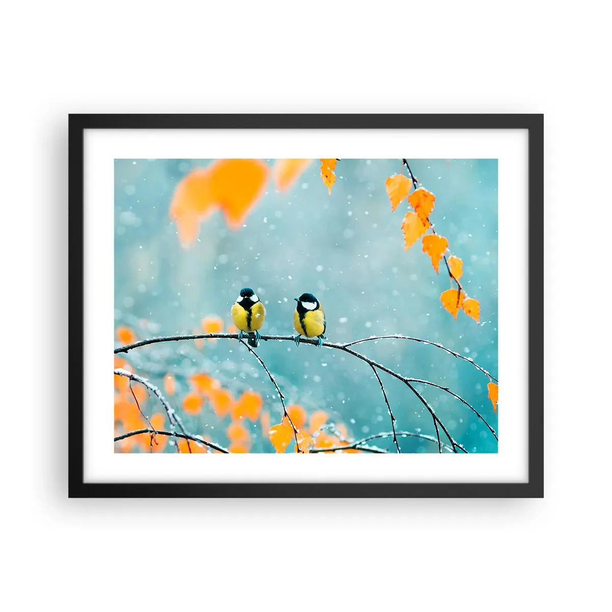 Póster en marco negro - Cotilleo de pájaros - 50x40 cm