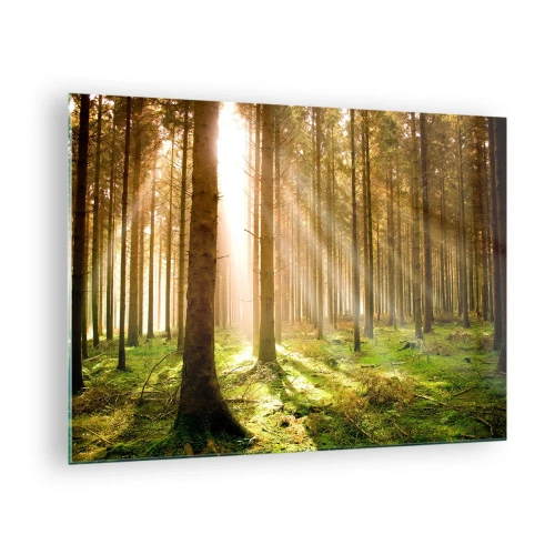 Cuadro sobre vidrio - Impresiones sobre Vidrio - Los rayos del sol penetran a través de los árboles en el bosque. - 70x50cm - Los elfos se aproximan - Decoración de pared moderna para salón y dormitorio ARTTOR