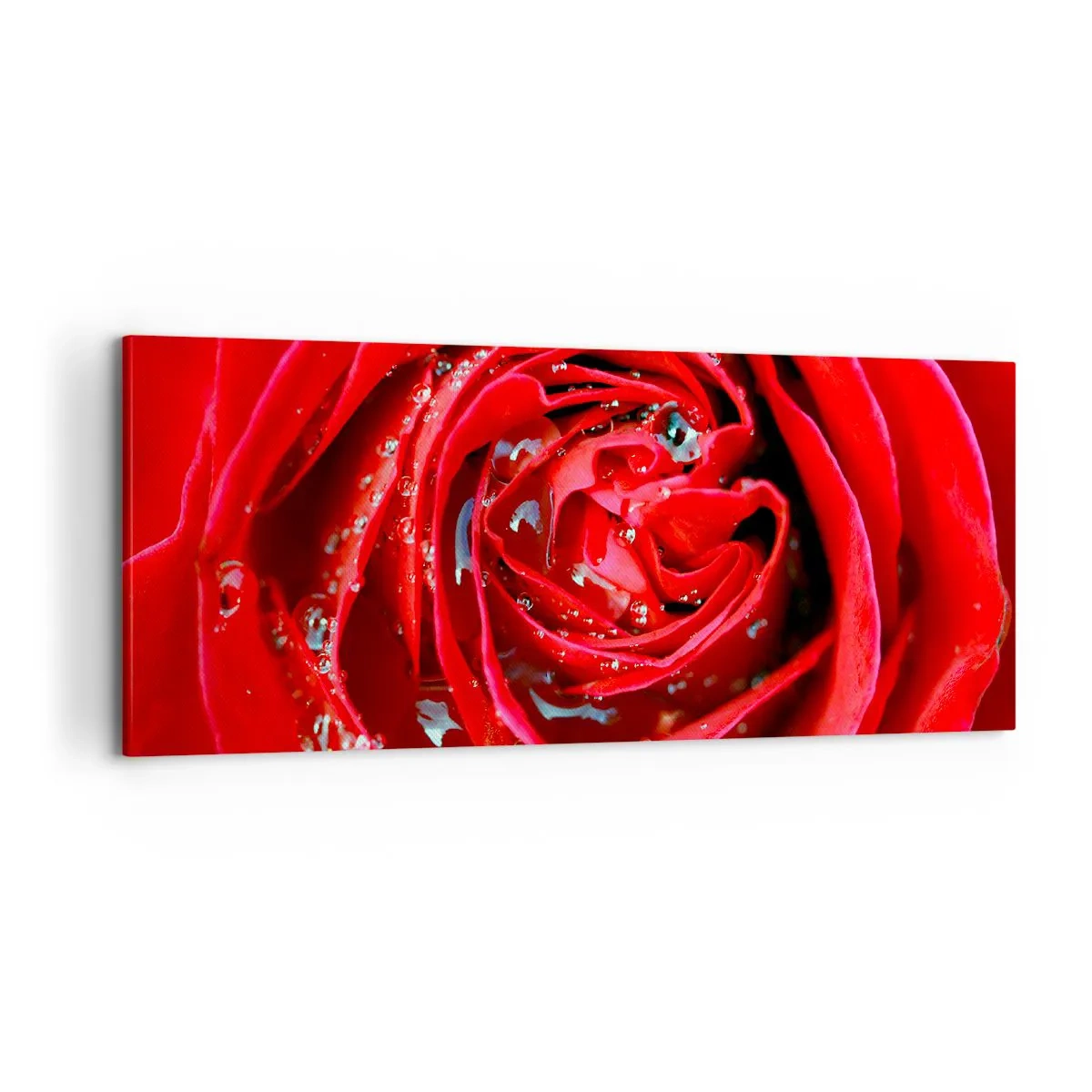Cuadro sobre lienzo - Impresión de Imagen - En gotas de rocío - 100x40 cm