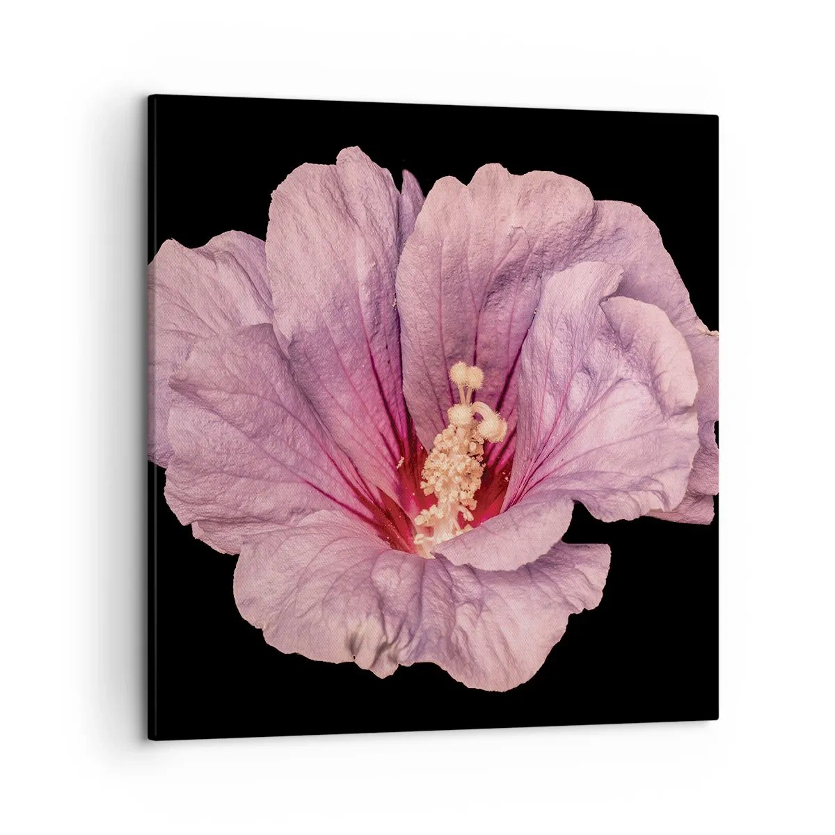 Cuadro sobre lienzo - Impresión de Imagen - Directo al corazón - 50x50 cm