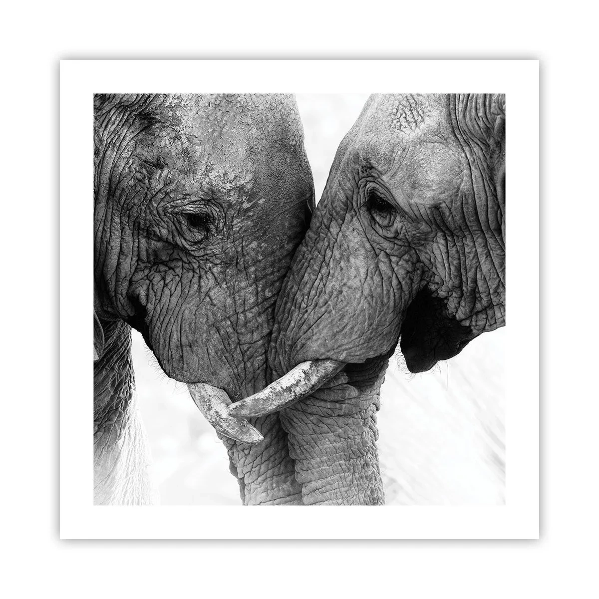 Póster - Una confesión sincera - 50x50 cm