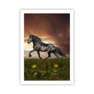 Póster - Un caballo negro galopa a través de un prado a la luz del sol poniente. - 50x70cm - Príncipe negro - Decoración de pared moderna para salón y dormitorio ARTTOR
