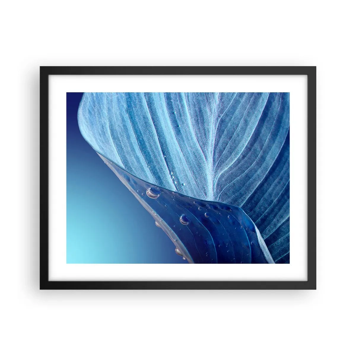 Póster en marco negro - Gotas ocultas de azul - 50x40 cm