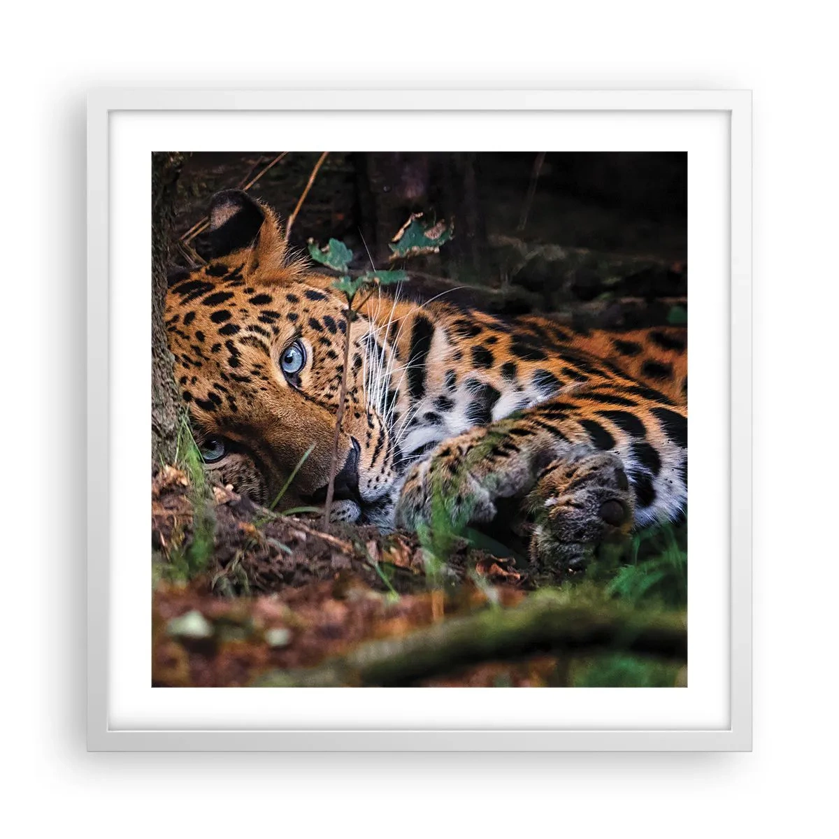 Póster en marco blanco - Confía en mí - 50x50 cm