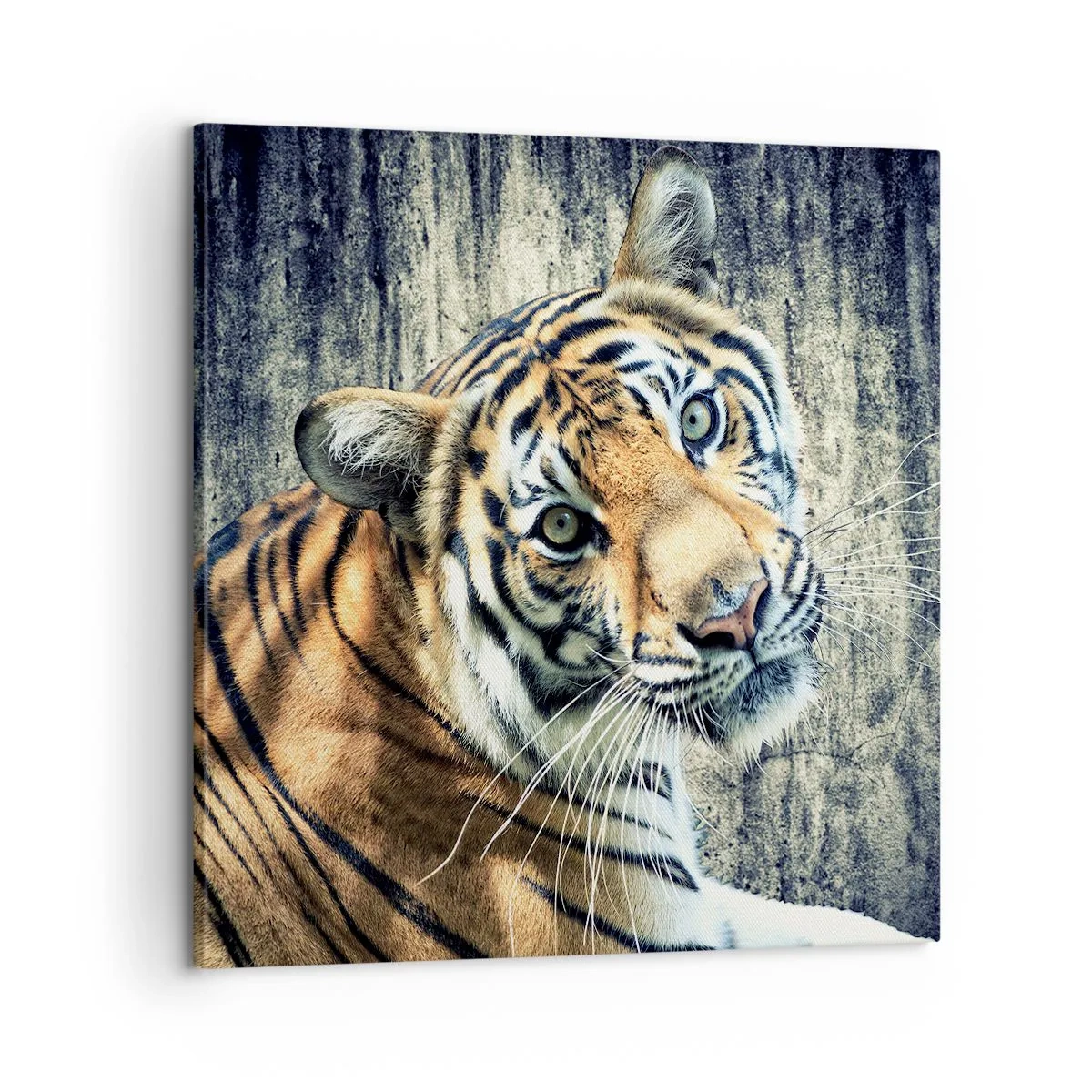 Cuadro sobre lienzo - Impresión de Imagen - Retrato en corrientes de luz - 60x60 cm