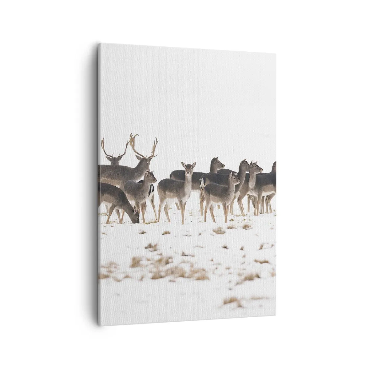 Cuadro sobre lienzo - Impresión de Imagen - Una manada de ciervos sobre un fondo nevado. - 50x70cm - ¿Se acerca la Navidad? - Decoración de pared moderna para salón y dormitorio ARTTOR