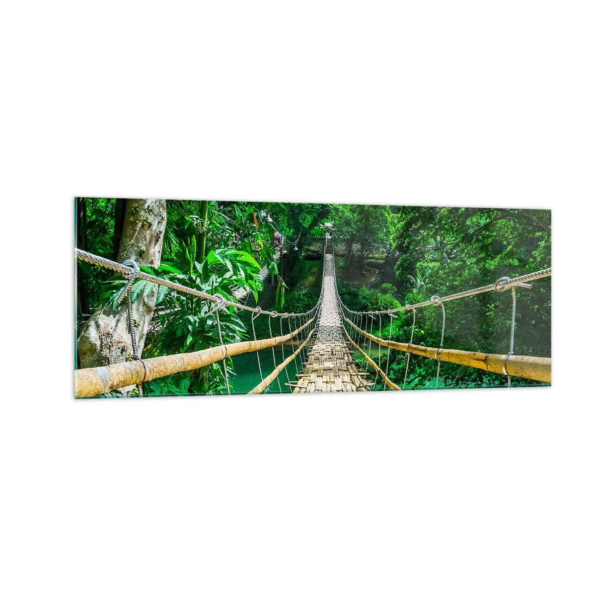 Cuadro sobre vidrio - Impresiones sobre Vidrio - Un puente colgante de bambú rodeado de vegetación. - 140x50cm - Puente colgante sobre la vegetación - Decoración de pared moderna para salón y dormitorio ARTTOR