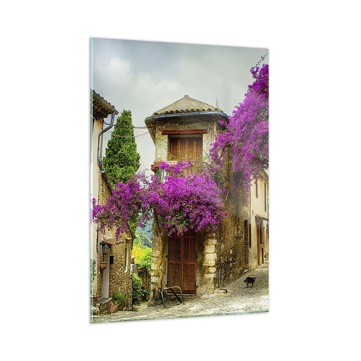 Cuadro sobre vidrio - Impresiones sobre Vidrio - Una calle encantadora con vides rosas en flor y casas de vecindad. - 50x70cm - Bajo un manto de flores - Decoración de pared moderna para salón y dormitorio ARTTOR